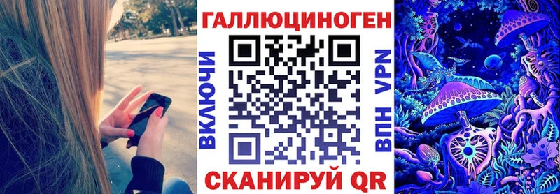 Купить где  Новотитаровская  Псилоцибиновые грибы Psilocybine cubensis 