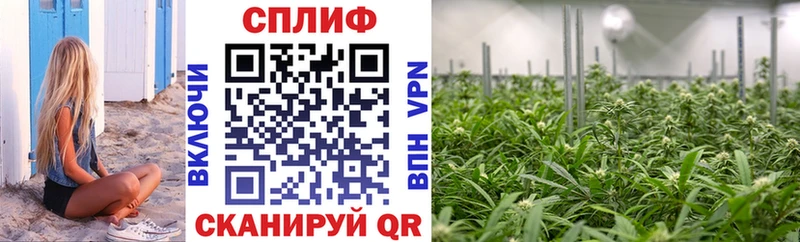 Купить закладки  Новотитаровская  Каннабис Ganja 